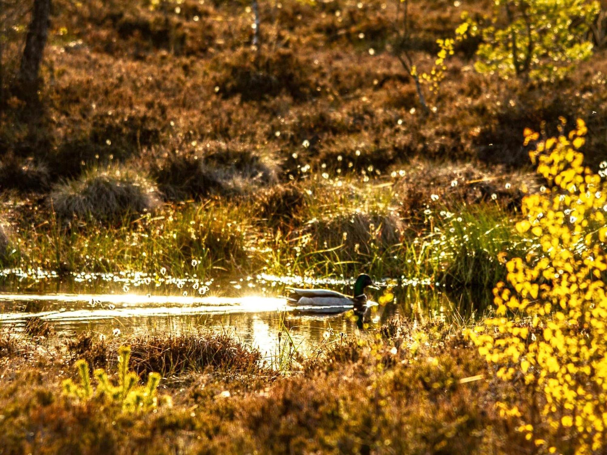 Berghotel Deutscher Flieger Wasserkuppe Gersfeld Exteriör bild